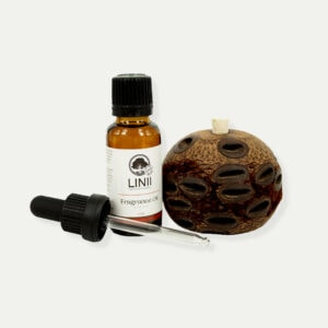 Linii huon pine diffuser bombe
