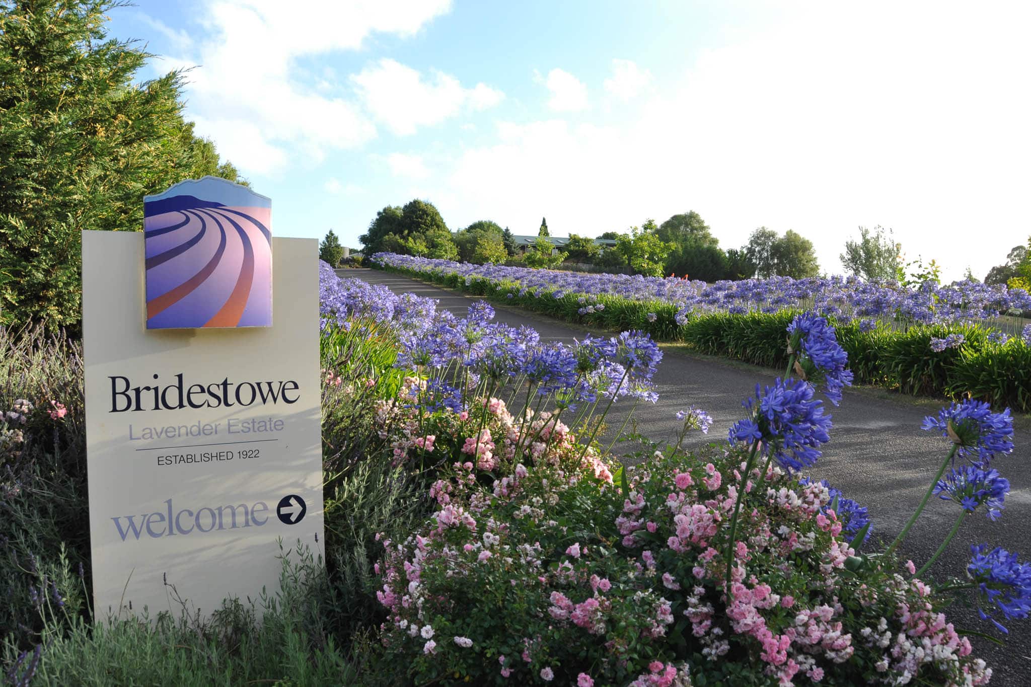 Bridestowe Estate Welcome Sign 0272